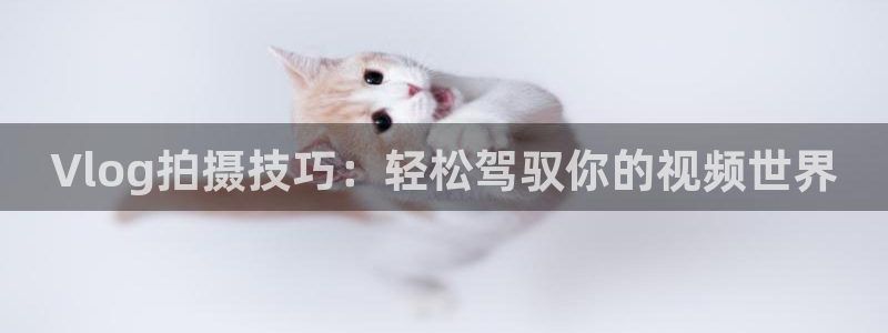 糖心 官网：Vlog拍摄技巧：轻松驾驭你的视频世界
